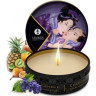 Набор SHUNGA GEISHA'S SECRET ЭКЗОТИЧЕСКИЕ ФРУКТЫ 5 предметов 8202 SG